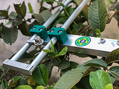Antena-Stylo-Slin-jin-243x182 Antena-Stylo-Slin-jin-243x182